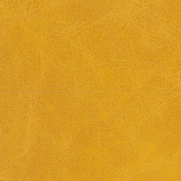 Campionario Album - Copertina in Pelle A28 giallo