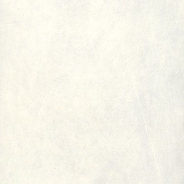 Campionario Album - Copertina in Pelle bianca