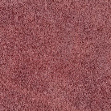 Campionario Album - Copertina in Pelle A25 rosso