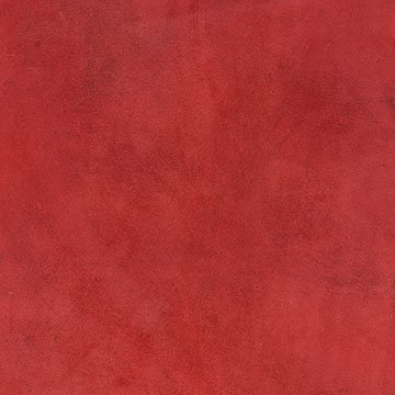 Campionario Album - Copertina in Pelle rossa