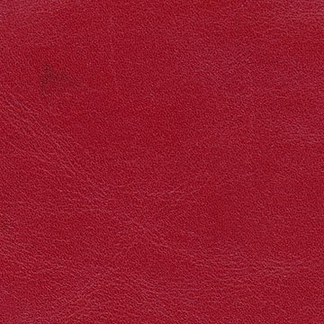Campionario Album - Copertina in Pelle A15 rosso chiaro