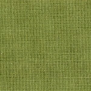 Campionario Album - Copertina in Tela pistacchio