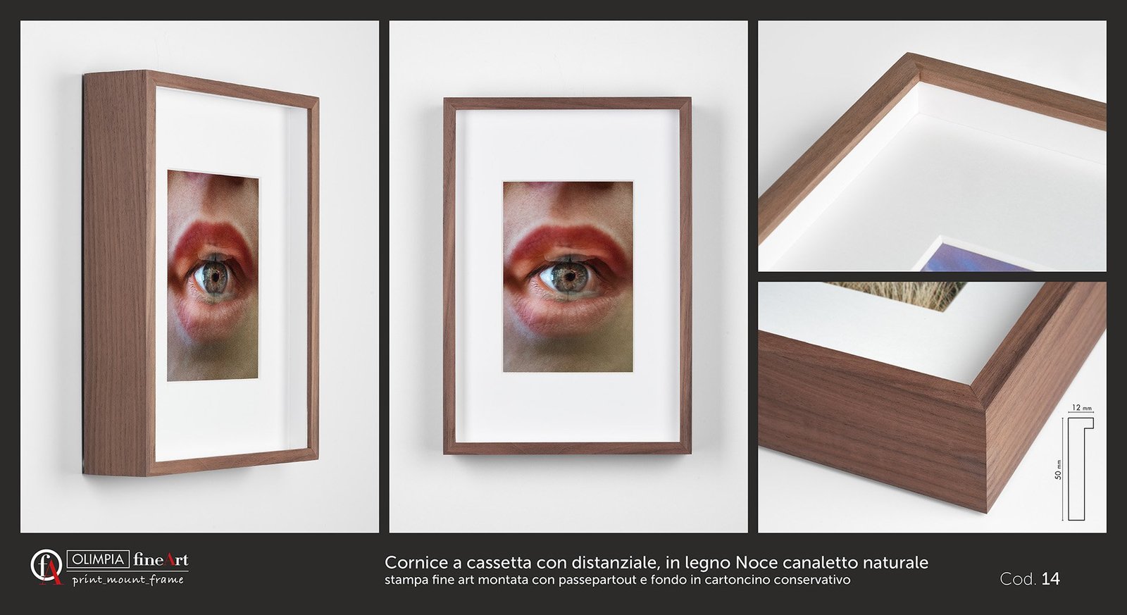 Scheda cornice 14