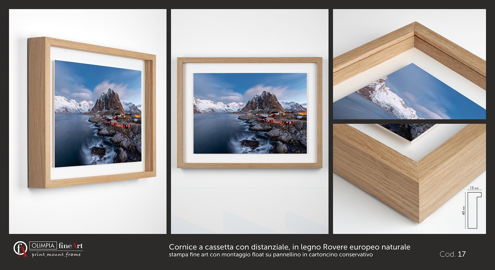 Scheda cornice 17