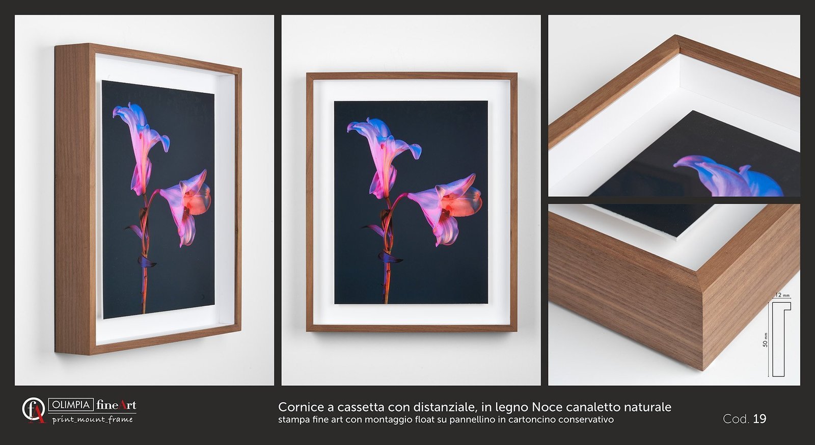 Cornice a cassetta in legno Noce canaletto naturale Cod. 19 - Olimpia Fine Art