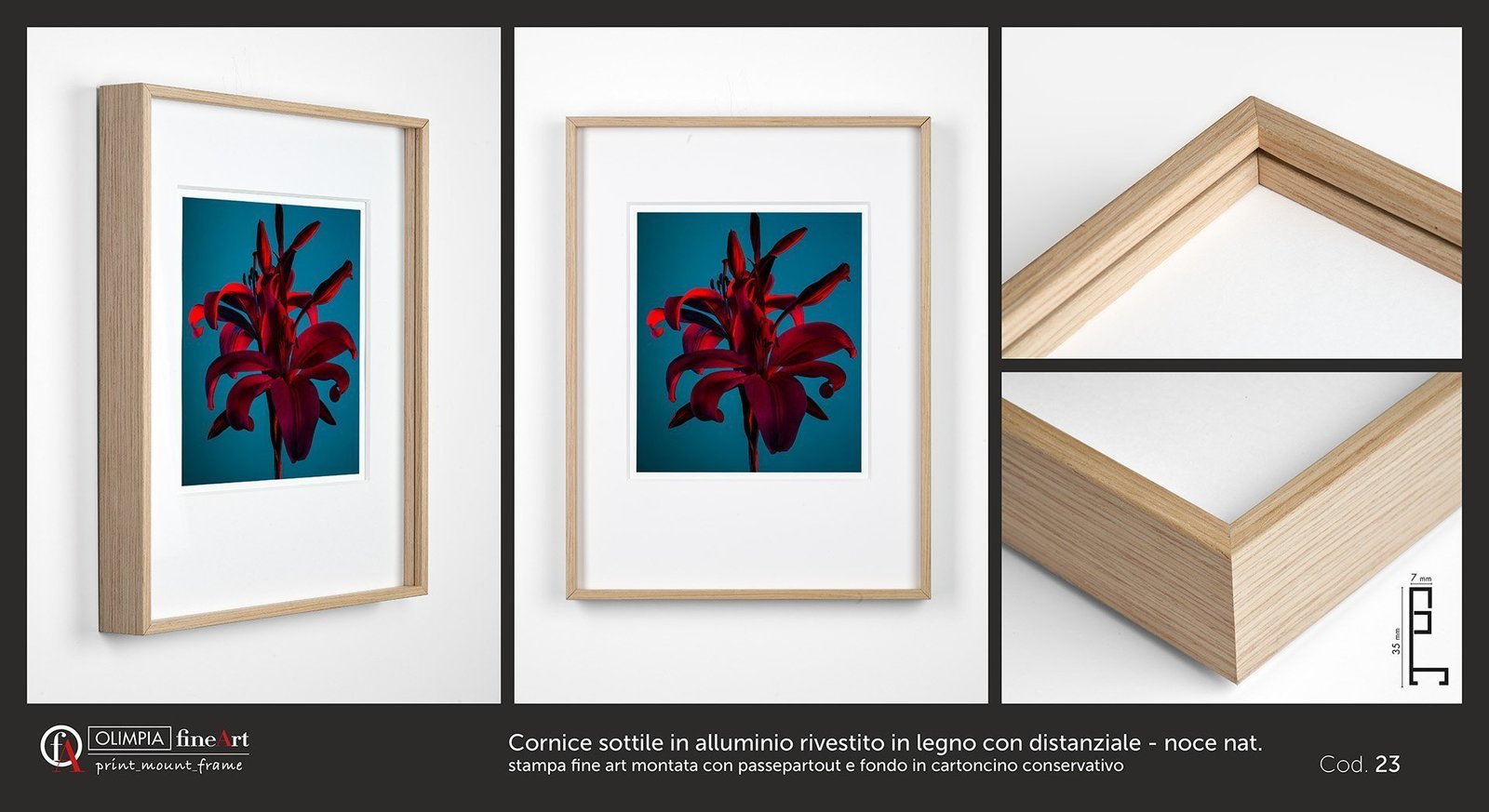 Scheda cornice 23