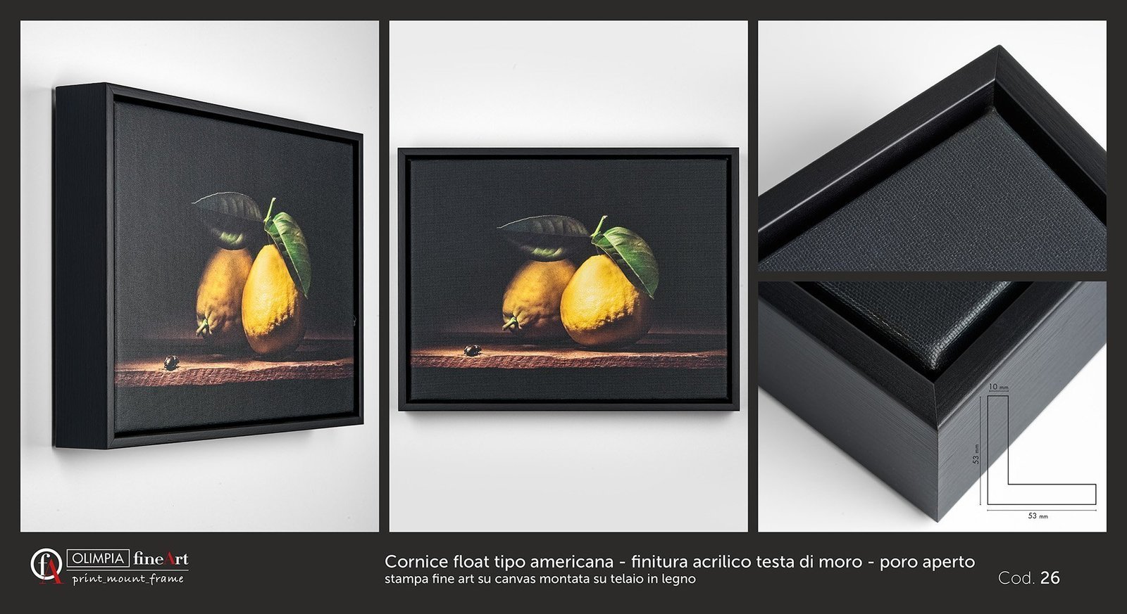 Scheda cornice 26