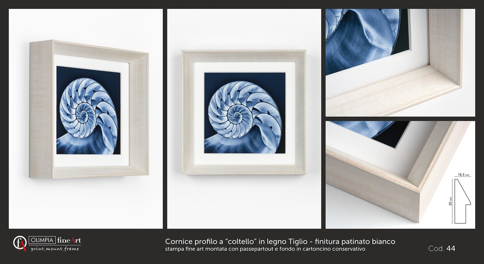 Scheda cornice 44
