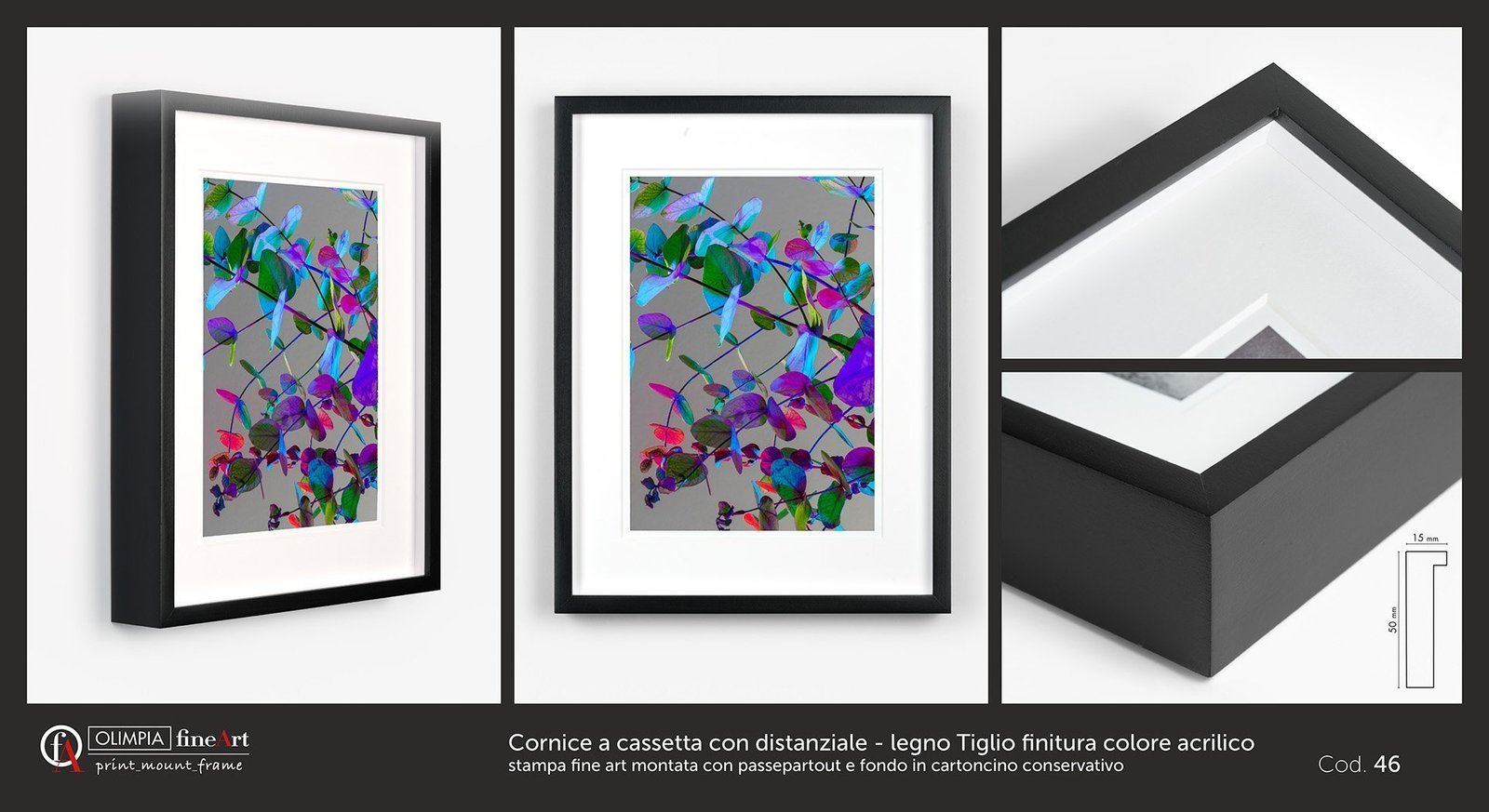 Scheda cornice 46