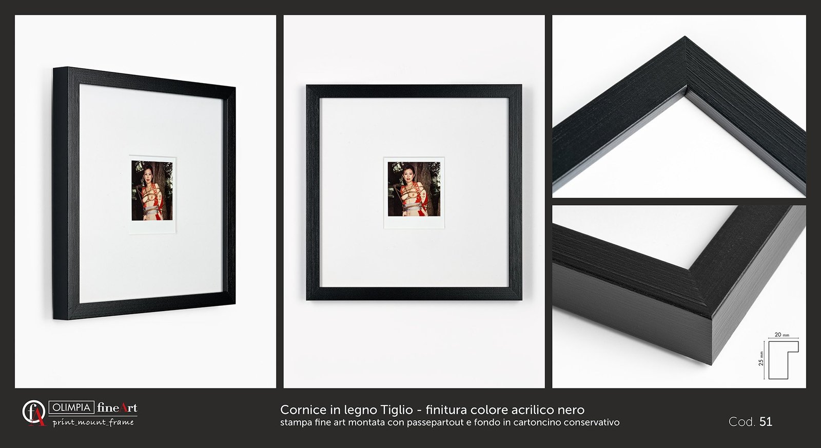 Scheda cornice 51