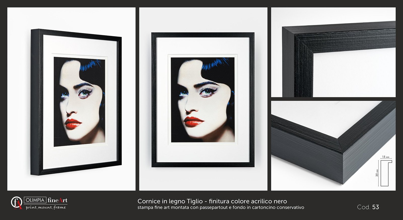 Scheda cornice 53