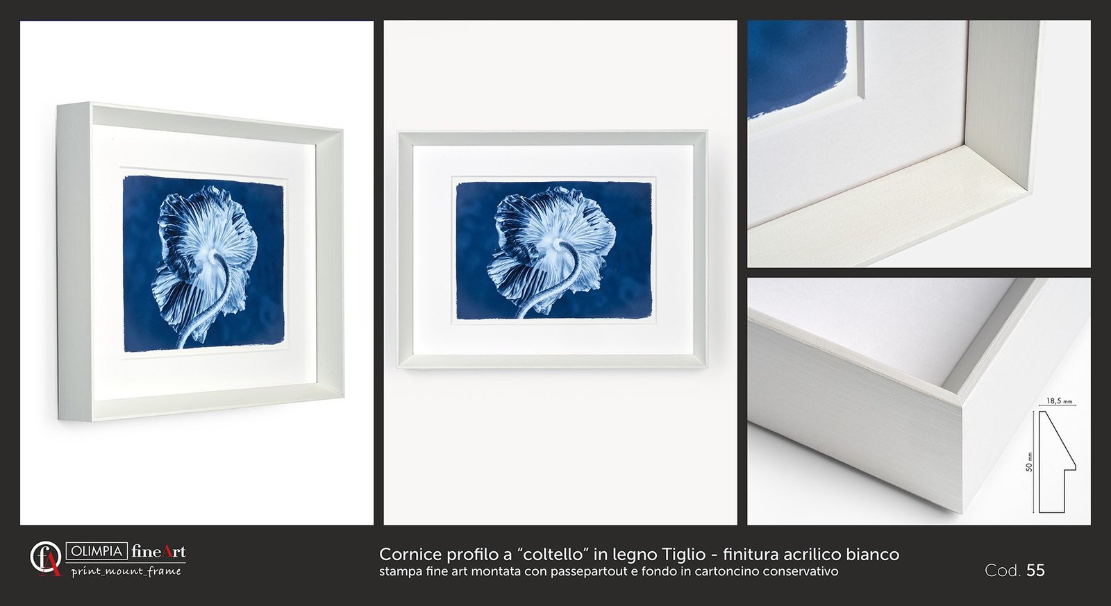 Scheda cornice 55