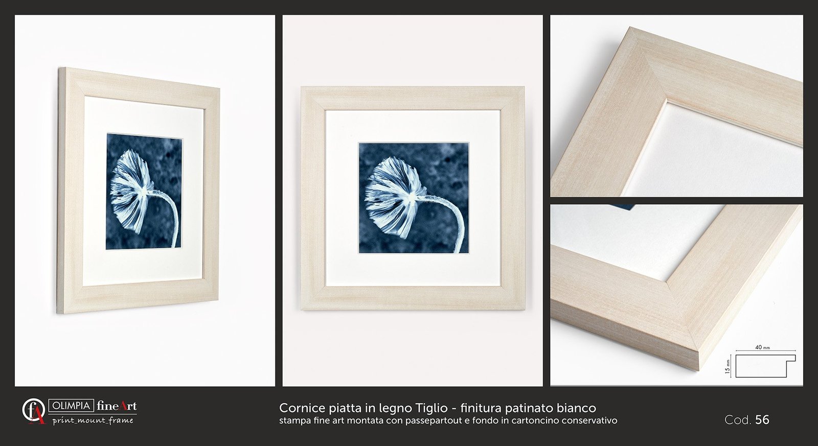 Scheda cornice 56