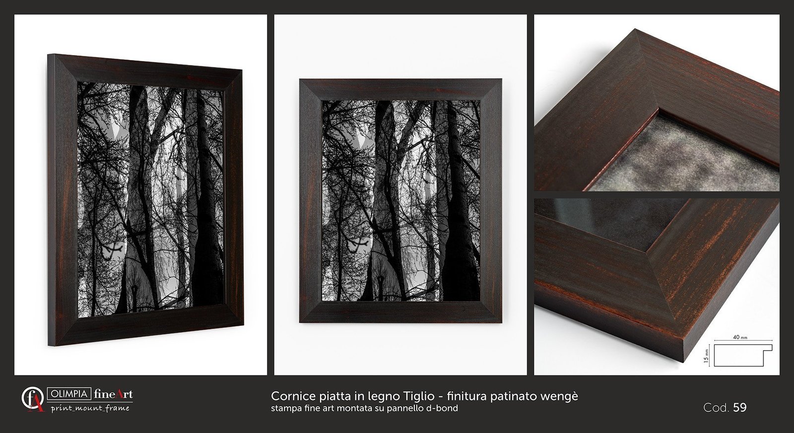 Scheda cornice 59