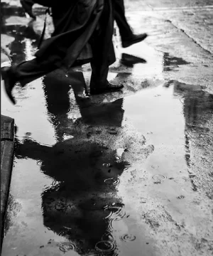 Carta_Platine Fibre Rag 310g Carta_Platine Fibre Rag 310g