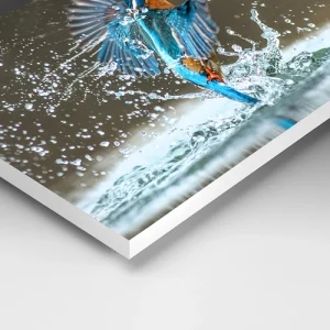 Pannelli_Foamboard Pannello Foamboard