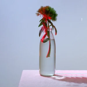 icona Artistic Canvas 320g_1 Stampa su Tela senza telaio