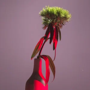 icona Artistic Canvas 320g_2 Stampa su Tela con Telaio da 2cm