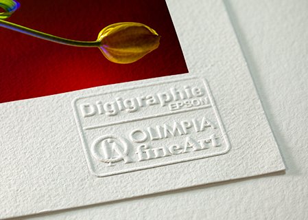 Dettaglio di una stampa Fine Art con timbro a secco ufficiale Digigraphie Epson per certificazione di autenticità.