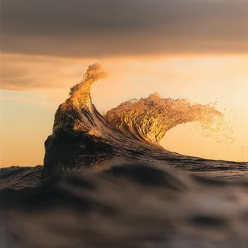 Carta_Canson Infinity Baryta Prestige II340g