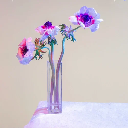 icona Artistic Canvas 320g_3